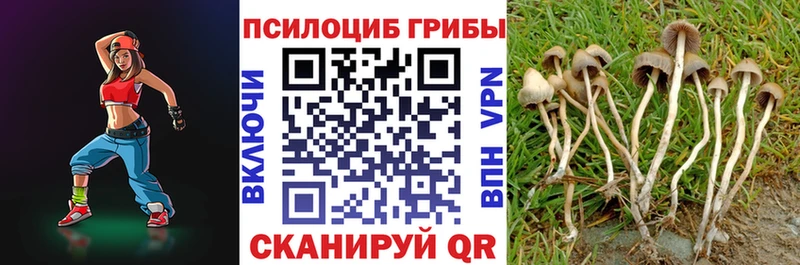 Псилоцибиновые грибы мицелий  Купить где  Гаврилов Посад 