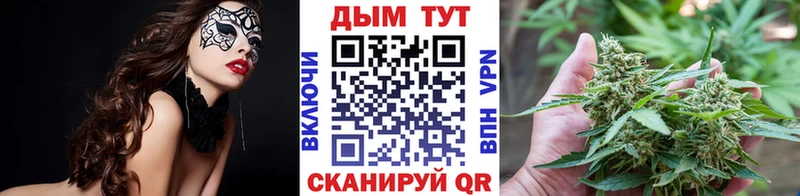 Купить закладки  Гаврилов Посад  Шишки марихуана THC 21% 